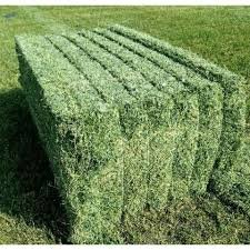 Alfalfa-Hay-grade-a.jpg
