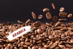 Arabica Coffee Beans (1)