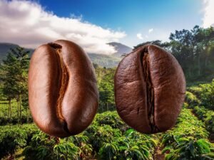 Arabica Coffee Beans (1)