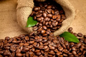 Arabica Coffee Beans (2)