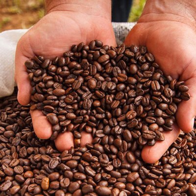 Arabica Coffee Beans (5)