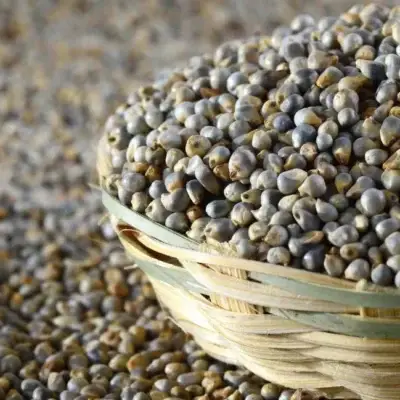 BajraSeeds_2048x