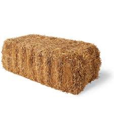 Barley-straw.jpg