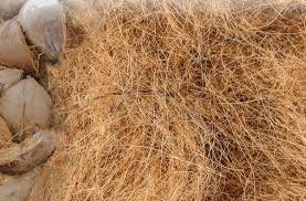 Coconut-Fiber-1.jpg
