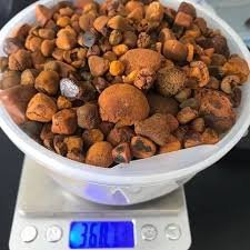 Cow-Gallstone.jpg