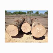 Cypress-wood-lumber-and-Logs.jpg