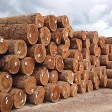 Douglas-wood-lumber-and-Logs.jpg