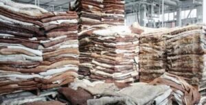 Dry Salted Cow Hides