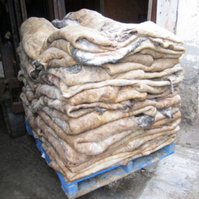 Dry Salted Goat Skins