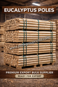 Eucalyptus Poles Premium Export Bulk Supplier Ready for Export