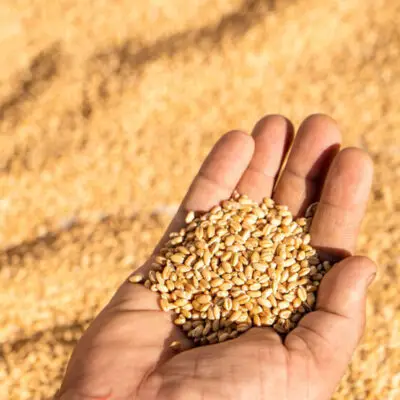 Ontwerp zonder titel – 1