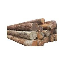 Fir-wood-Lumber-and-Logs.jpg