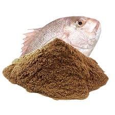 Fish-meal.jpg