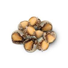 Frozen-Gold-abalone.jpg