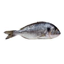 Frozen-sea-bream.jpg