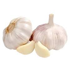 Garlic.jpg