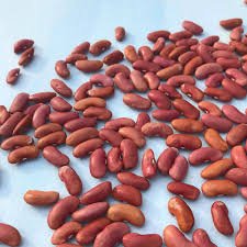 Kidney-Bean-1.jpg