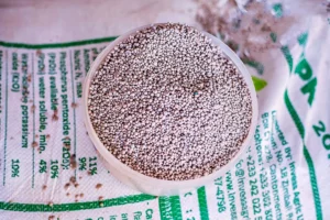 NPK-Fertiliser-20-20-10.webp