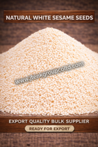 Natural White Sesame Seeds Export Quality Bulk Supplier Ready for Export