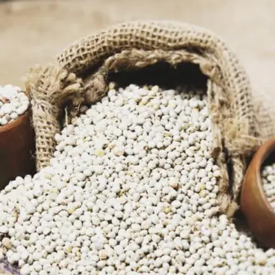 Natural White Sorghum Grain Export