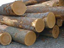Oak-wood-lumber-and-Logs.jpg