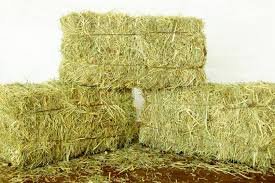 Pasture-hay.jpg