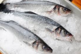 Sea-Bass.jpg