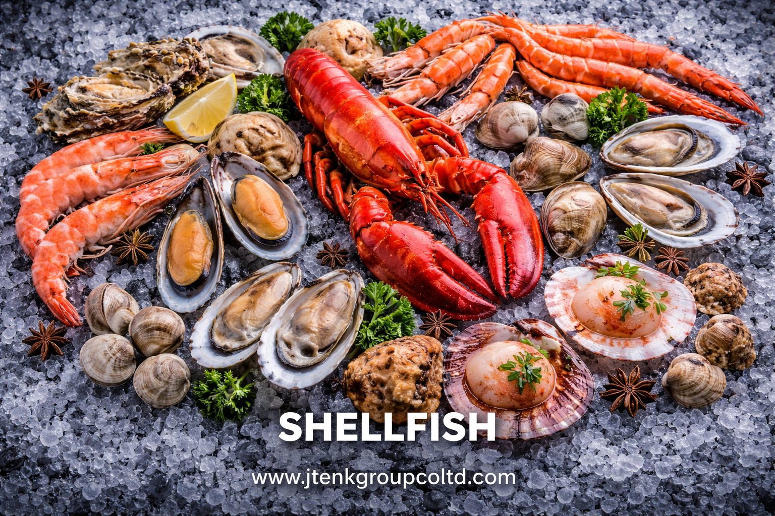 Shellfish Supplier for Global Seafood Import and Distribution
