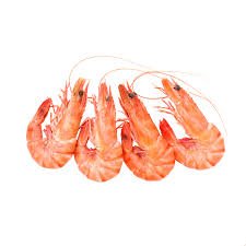 Shrimp.jpg