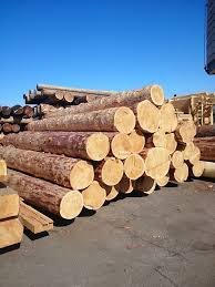 Spruce-wood-lumber-and-Logs.jpg