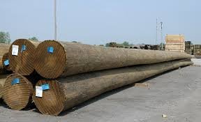 Timber-pilings.jpg